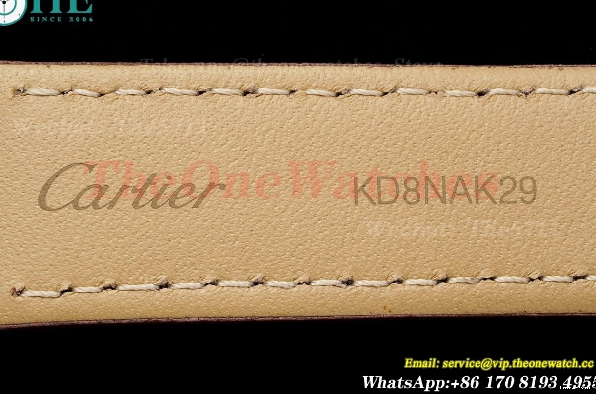 Dumont Dial Silver Brown Santos Quartz LE RG AF Dia 0313